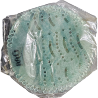 Urinalmatte Melone
