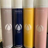 Raumduft Aerosol Push 300ml